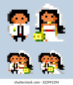 white Wedding bride. pixel vector illustration