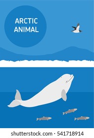 White whale happily floating in the sea and looks at the bird eider. Vector drawing of Arctic animals. Flat style illustration
