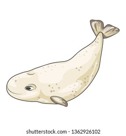 White whale icon. Cartoon of white whale vector icon for web design isolated on white background