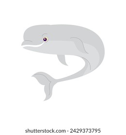 White Whale Sea Mammal Cartoon Style Illustration