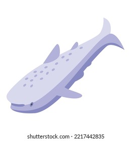 White whale shark icon isometric vector. Fish sea. Reef animal