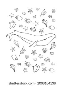 White whale and shells, T-shirt print, linear marine background, vector art