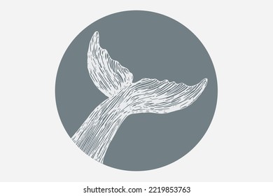 White whale tail in blue circle. Outline Whale with shape. Vector whale icon. Wildlife animals