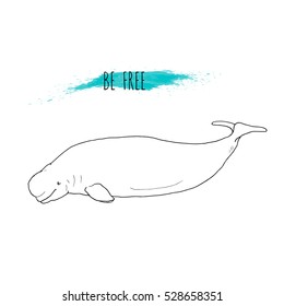 White whale vector illustration. Hand drawn, isolated on background with blue watercolor splash. Marine mammal. Be free. Line drawing