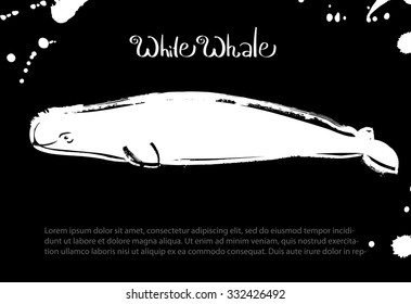 White whale.  Vector isolated illustration. Ink. Hand drawn. Black board