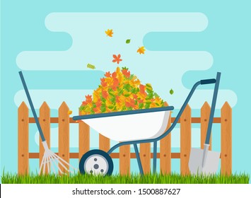 White wheelbarrow with a bunch of leaves is standing under the fence. Autumn harvest. Cleaning the fields.