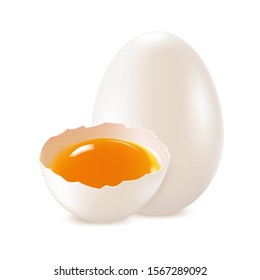 White, whole and broken egg on a white background, protein product, chicken egg. Vector.