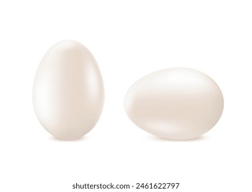 White, whole egg on a white background, protein product, chicken egg. 