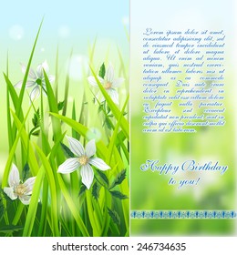 White Wild Anemones in Grass. Vector Happy Birthday card.