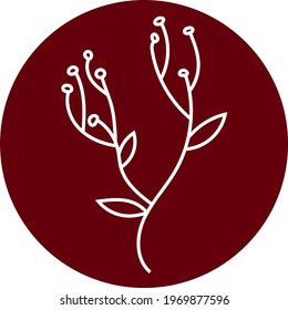 White wild flower, icon illustration, vector on white background