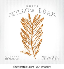 White Willow Leaf with Authentic Logo Lettering Vintage Print Style Illustration from Autumn Leaf Edition of Graphic Herbarium - Black and Rusty on Grunge Background - Vector Stamp Graphic Design