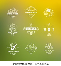 White wine labels vector design isolated on green background illustration