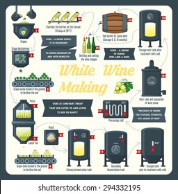 White wine making, infographic