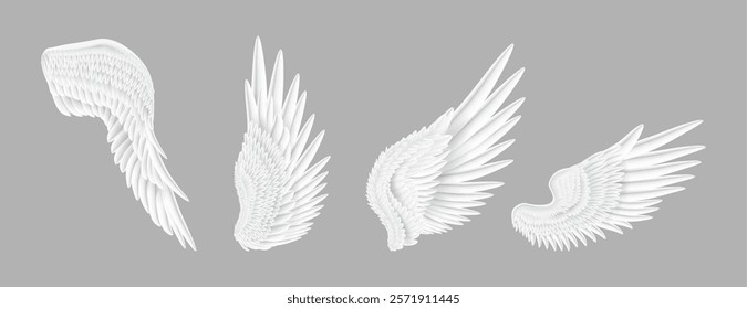 White wing stretched, isolated decorative item with plumelets and feathers. Vector animal or angel, spiritual or fantasy character or personage design part or costume element. Spiritual freedom