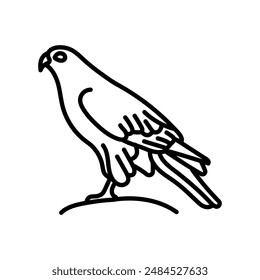 White winged Scoter Outline Icon, Vector illustration