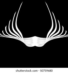 white wings