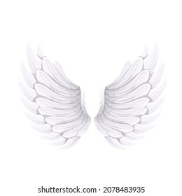 White wings of Angel or bird , vector illustration.