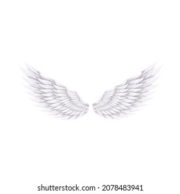 White wings of Angel or bird , vector illustration.