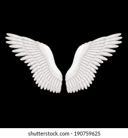 White wings on black photo-realistic vector illustration