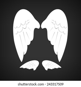 White Wings on a dark background, vector illustration