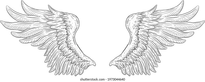 white wings vector clip art illustration