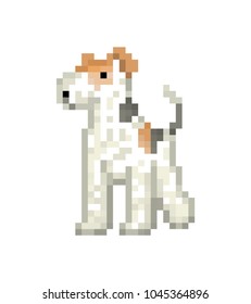 White wire fox terrier, pixel art character isolated on white background. Cute puppy. Small dog breed. Pet friend. Old school 8 bit slot machine icon. Retro 80s,90s video game graphics.Domestic animal