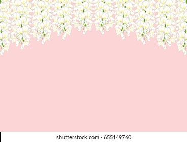White Wisteria isolated on Pink Background with copy space. Vector Illustration. svg