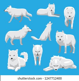 White Wolf Arctic Fox Cartoon Vector Illustration