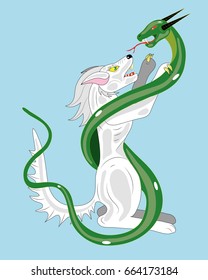 The white wolf fights with a snake