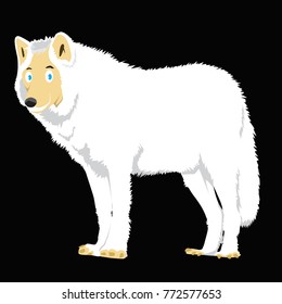 White Wolf Illustration