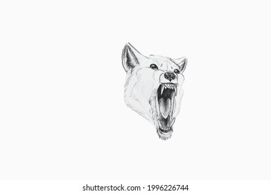 white wolf on a white background tattoo