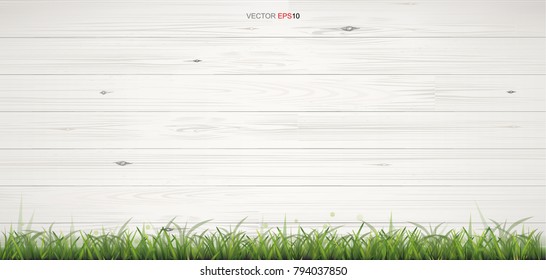 White wood texture with green grass for background. Vector illustration.