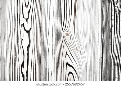 White wood texture. Wooden background. Light wood pattern. White color. 