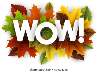 White wow background with colorful maple and birch leaves. Vector illustration.