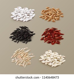 White Yellow Brown Black Red Wild Sushi Rice Grains Vector Realistic Illustration Set Isolated On Background