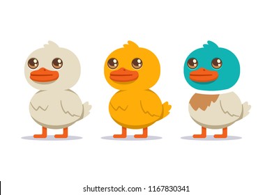 White, yellow and colored duck set. Vector cartoon bird character isolated on white background.