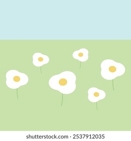 white yellow daisy bloom camomile spring summer sky cute daisies herb nature