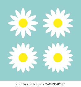 White, yellow daisy flower, chamomile icons. A group of four wildflower daisies. Isolated on a green background.