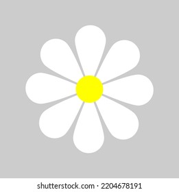white and yellow Daisy, Flower vector icon