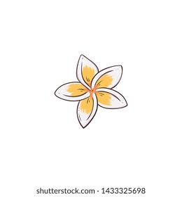 White and yellow plumeria or frangipani flower sketch style, vector illustration isolated on white background. Hand-drawn hawaiian lei flower, tropical nature plant