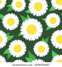 Flores de manzanilla estilizadas blancas y amarillas con hojas sobre fondo verde oscuro. Patrón sin fisuras de Vector.