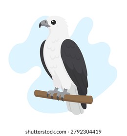 White-bellied sea eagle perched in flat vector style. White-bellied sea eagle illustration featuring Haliaeetus leucogaster.