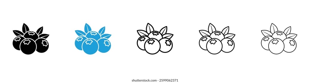 whiteberries icons vector illustrations in black and blue colors for web and ui designs