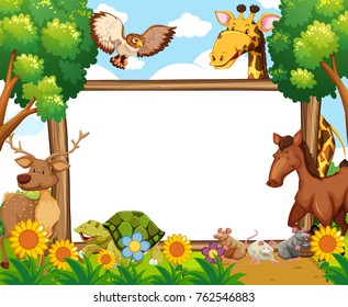 Whiteboard with animals in forest illustration