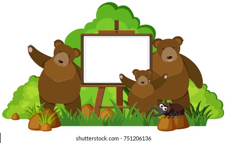 Whiteboard With Three Grizzly Bears Illustration