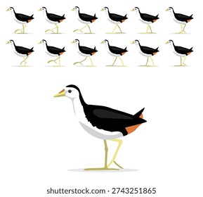 White-Breasted Waterhen Walking Motion Animation Sequence Cartoon Vector Illustration