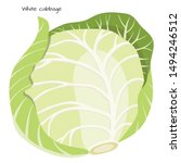 White-cabbage isolated on white background. Healthy nutrition. Vegan, vegetarian diet. Whole vegetable. Organic raw vegan healthy food. Vector illustration for design.