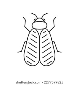 Whitefly insect icon. High quality black vector illustration.