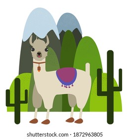 White-grey alpaca with mountains on the background and some cactuses.