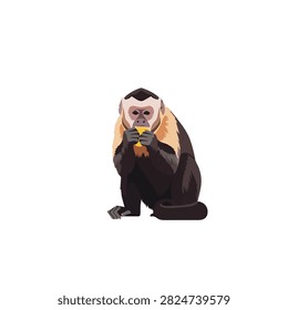 White-Headed Capuchin Monkey Sitting and Eating Yellow Fruit Illustration Isolated on White Background